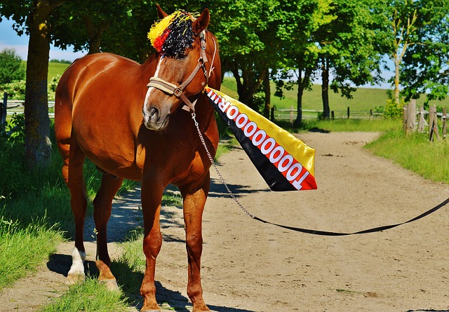 同样在本届 同样在本届