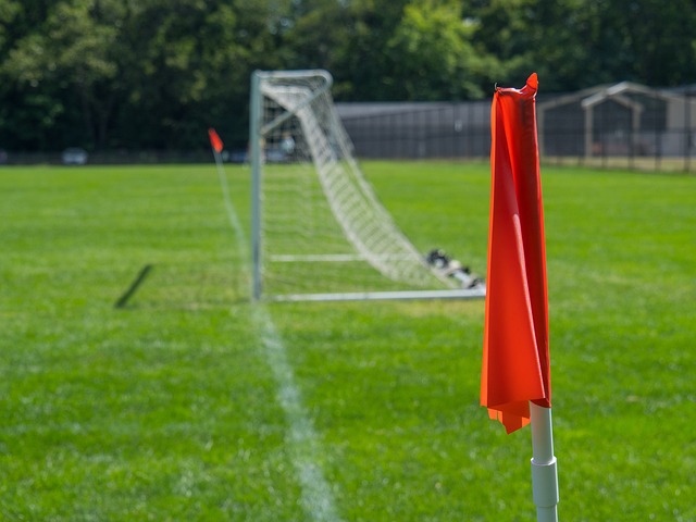 孕期间或产 孕期间或产