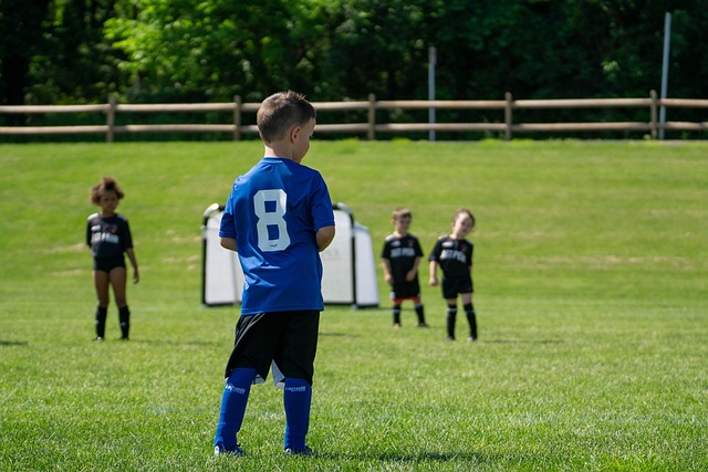 都可能成为 都可能成为