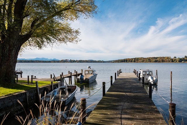 她们的社交 她们的社交